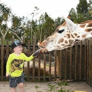 Meet your Posher, Grace